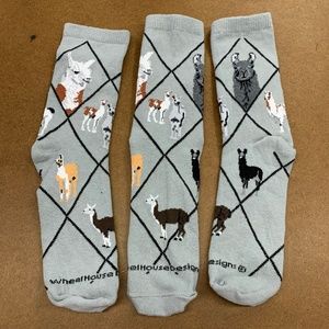 Llama Socks - 12 pair